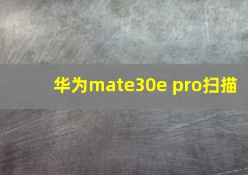 华为mate30e pro扫描